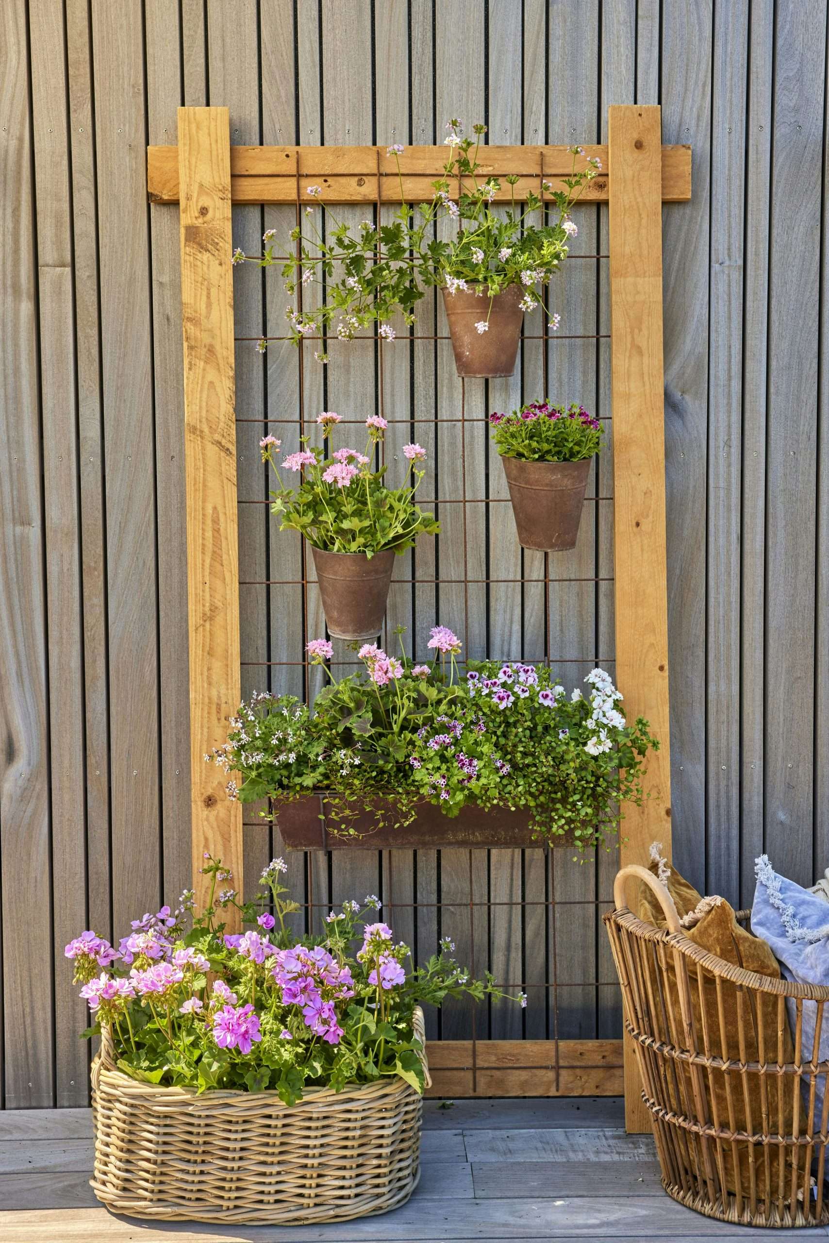 Container Flowers