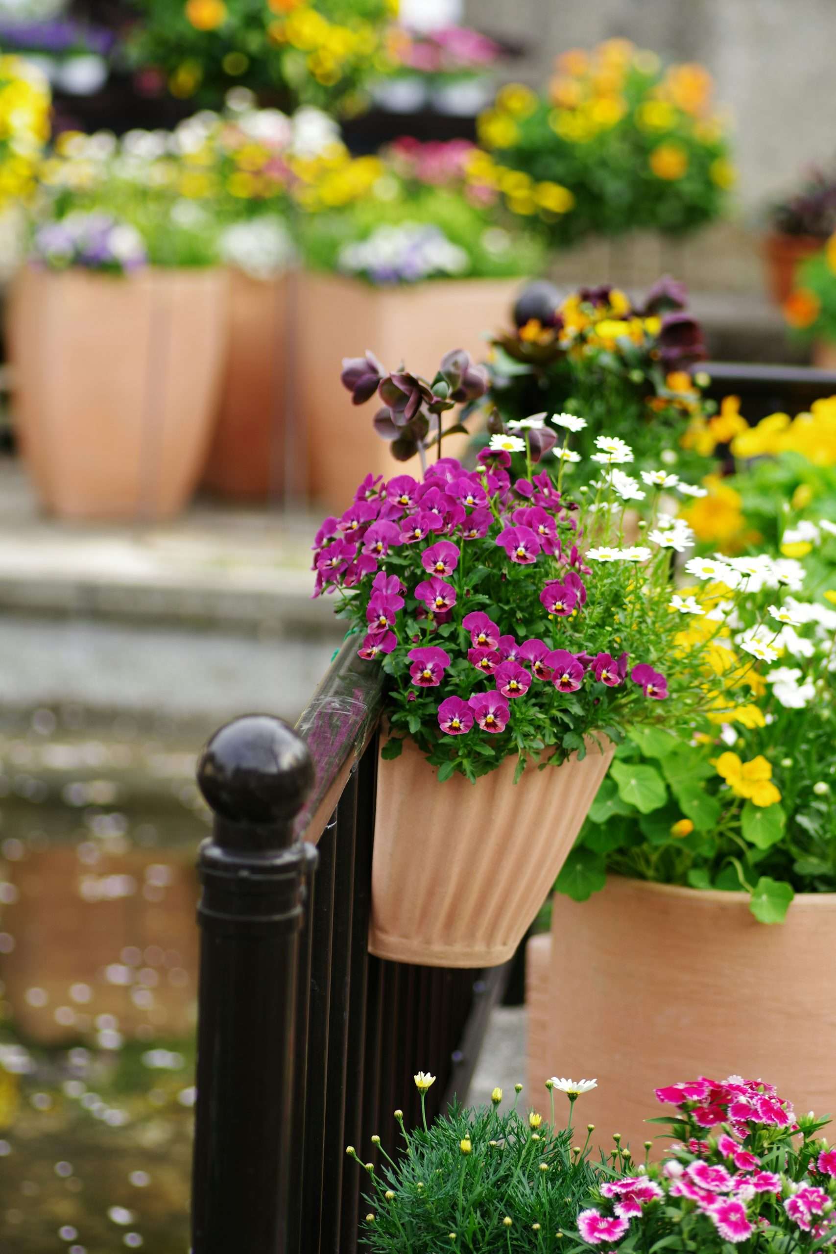 Container Design October