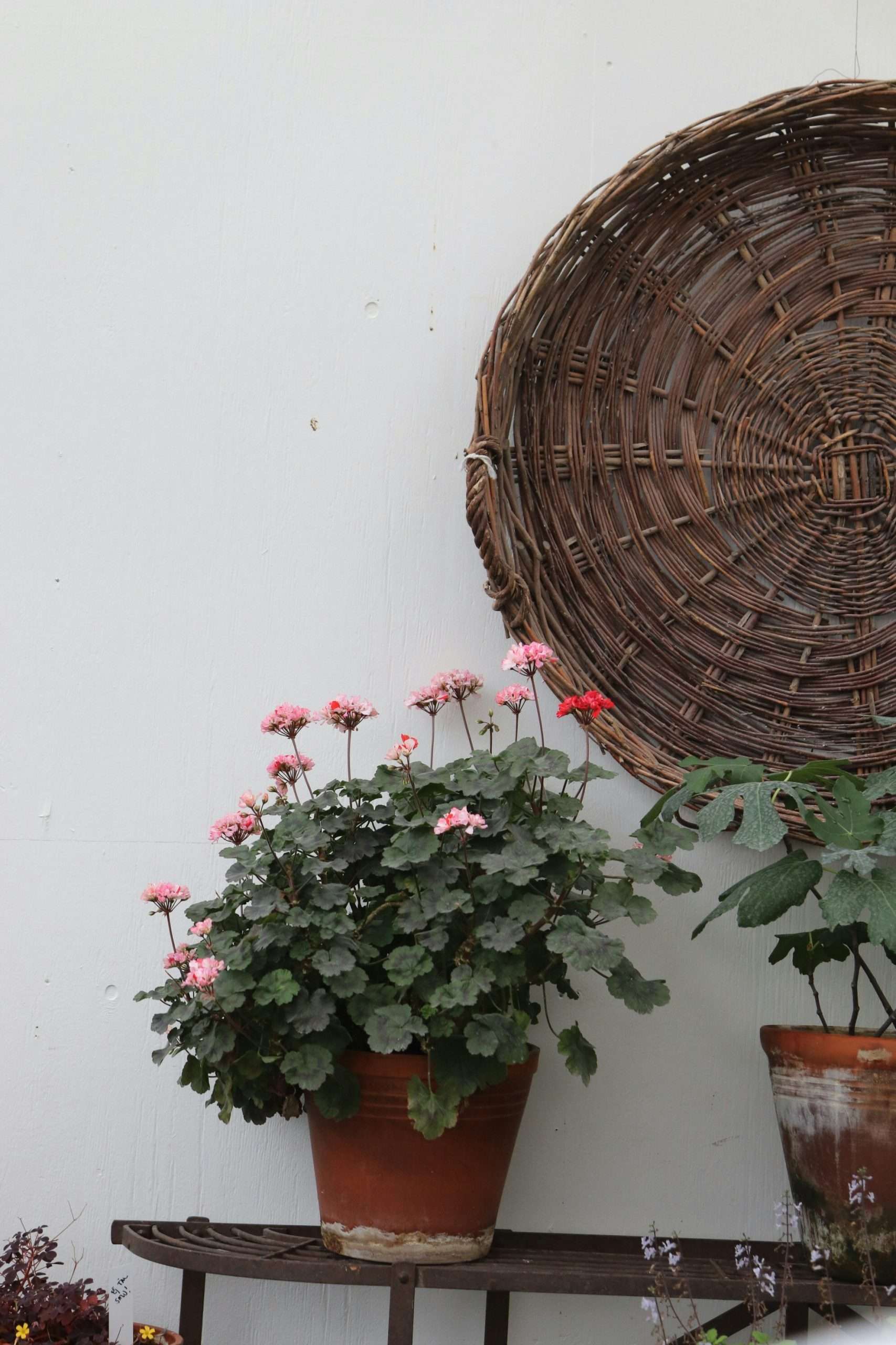 Fall Containers