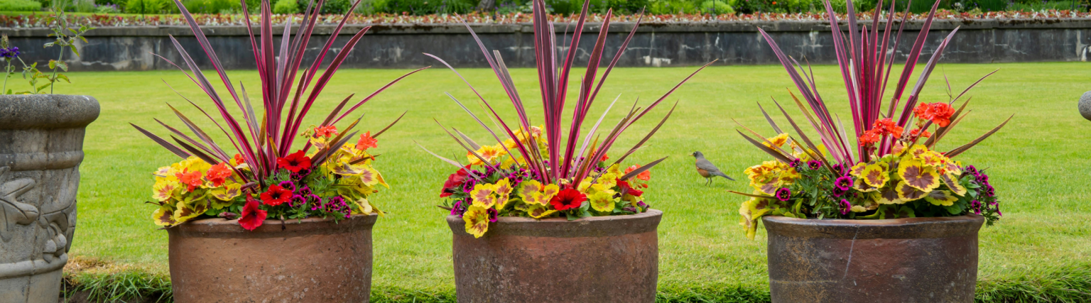 Fall Winter Container