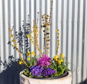 Hello Spring