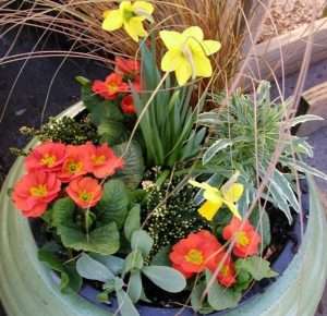 Spring Pizzazz