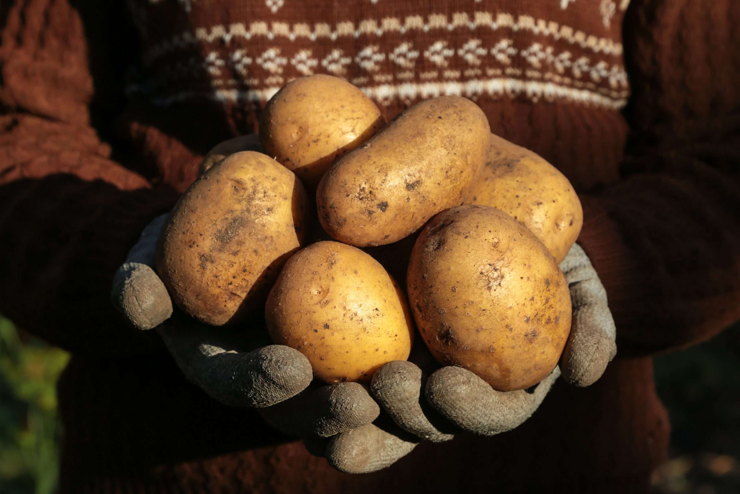 Potatoes
